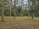 Picturesque property with tall trees and green space, perfect for enjoying nature at 9805 Se 182Nd Avenue Rd, Ocklawaha, FL 32179