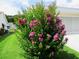 Manicured lawn showcases a vibrant, flowering shrub, enhancing the curb appeal of this well-maintained home at 11470 Sw 139Th St, Dunnellon, FL 34432