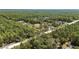 Aerial view showcasing the neighborhood's serene, heavily-wooded surroundings at 13741 Sw 73Rd St, Ocala, FL 34481