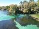 Aerial view of clear turquoise swimming area near a house and surrounded by lush greenery and river at 19424 Sw 77Th Loop, Dunnellon, FL 34432