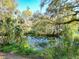 Scenic view of a tranquil pond surrounded by trees and greenery, reflecting the sky above at 19424 Sw 77Th Loop, Dunnellon, FL 34432