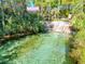 Wide view of clear pool with stairs, lush greenery and signage, offering an inviting and tranquil swimming spot at 19424 Sw 77Th Loop, Dunnellon, FL 34432