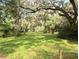 Large grassy backyard shaded by mature trees with Spanish moss at 2131 Ne 145Th Avenue Rd, Silver Springs, FL 34488