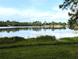 Beautiful lake view surrounded by lush greenery and trees under a partly cloudy sky at 2131 Ne 145Th Avenue Rd, Silver Springs, FL 34488