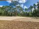 Large backyard featuring a treeline in the distance at 23213 Nw Mallard Ave, Dunnellon, FL 34431