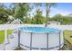 Above ground pool with decorative perimeter and white stairs, set in lush green grass at 2924 Se 142Nd Pl, Summerfield, FL 34491