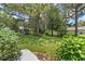 Lush backyard features a large grassy area, mature trees, and manicured landscaping at 9085 Sw 96Th Ln # B, Ocala, FL 34481