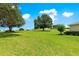 Expansive backyard with lush green grass and mature trees on a sunny day at 9925 Sw 95Th Loop, Ocala, FL 34481