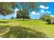 Large, well-maintained backyard with expansive lawn and mature shade trees at 9925 Sw 95Th Loop, Ocala, FL 34481