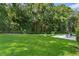 Expansive backyard featuring lush green lawn, a patio set, and a picturesque wooded backdrop at 11598 Sw 74Th Ct, Ocala, FL 34476