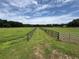Fenced pasture and tree lined horizon at 1501 Ne 97Th Street Rd, Anthony, FL 32617