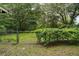 View of the large backyard showcasing the serene landscaping and secure chain-link fence at 2155 Nw 27Th Ave, Ocala, FL 34475