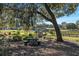 Scenic shot of landscaped grounds featuring mature trees, shrubs, and a picnic table for outdoor enjoyment at 7563 Nw 21St St, Ocala, FL 34482