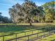 Expansive fenced pasture with a large sprawling oak tree covered in Spanish moss at 7563 Nw 21St St, Ocala, FL 34482
