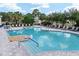 Resort-style pool with ample lounge seating and palm trees in a community setting at 8303 Sw 78Th Cir, Ocala, FL 34476