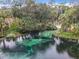 A waterway has a picturesque view of aqua waters and lush, green tropical trees surrounding it at 8605 Sw 209Th Court Rd, Dunnellon, FL 34431
