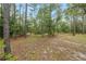 Scenic backyard with tall trees and plants, creating a private natural space at 9180 Sw 202Nd Avenue Rd, Dunnellon, FL 34431