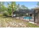 Outdoor screened-in pool with an attached jacuzzi surrounded by nature and a palm tree at 9180 Sw 202Nd Avenue Rd, Dunnellon, FL 34431