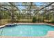 Private screened pool featuring a jacuzzi and verdant backyard scenery for ultimate relaxation and recreation at 9180 Sw 202Nd Avenue Rd, Dunnellon, FL 34431