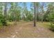 Large, grassy backyard surrounded by trees and shrubs, offering a sense of privacy and nature at 9180 Sw 202Nd Avenue Rd, Dunnellon, FL 34431