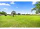 Expansive backyard featuring a lush green field, mature trees, and a picturesque view of the horse farm at 12131 Ne 10Th Ter, Ocala, FL 34479