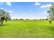 Expansive green pasture with a distant wooden fence, showcasing the property's acreage and scenic views at 12131 Ne 10Th Ter, Ocala, FL 34479