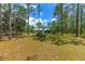 Single story home in the woods has a large lawn with grass and pine needles and mature trees at 12320 Sw 62Nd Pl, Ocala, FL 34481