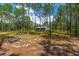 Picture shows large lawn, with scattered pine needles, around a single story home with mature trees at 12320 Sw 62Nd Pl, Ocala, FL 34481