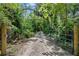 Long, private driveway leads to a gated entrance, surrounded by dense trees and foliage at 19130 Nw 60Th Ave, Reddick, FL 32686