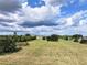 Aerial view of a large green grassy field under a partly cloudy sky at 4501 Detour Rd, Haines City, FL 33844
