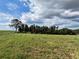 View across green grassy field with tall trees on the side under partly cloudy sky at 4501 Detour Rd, Haines City, FL 33844