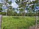 Pastoral scene of a grassy field enclosed by a wire fence, dotted with young trees under a partly cloudy sky at 4501 Detour Rd, Haines City, FL 33844