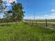 Scenic view of a grassy field with young trees alongside a road and fence under a partly cloudy sky at 4501 Detour Rd, Haines City, FL 33844