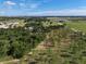 Aerial view of green land with trees, a few homes, and a field of young trees at 4501 Detour Rd, Haines City, FL 33844