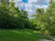 Scenic view of a grassy area surrounded by dense, mature trees at 4501 Detour Rd, Haines City, FL 33844