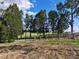 Grassy lot featuring a wooden fence perimeter and line of mature trees beneath a partly cloudy blue sky at 4501 Detour Rd, Haines City, FL 33844