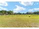 Expansive acreage featuring lush green grass and a well-maintained wooden fence at 475 Ne 155Th Pl, Citra, FL 32113