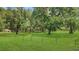 Expansive acreage with mature trees and lush green grass at 975 Cr 542E, Bushnell, FL 33513