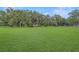 Open acreage with mature trees provides privacy at 975 Cr 542E, Bushnell, FL 33513