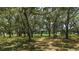 Secluded acreage with mature, moss-covered trees at 975 Cr 542E, Bushnell, FL 33513