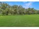 Lush, green acreage with mature trees and perimeter fencing at 975 Cr 542E, Bushnell, FL 33513