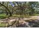 Scenic lot featuring mature oak trees draped with Spanish moss, creating a picturesque landscape at 975 Cr 542E, Bushnell, FL 33513