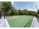 Outdoor basketball court features a multi-tone surface, hoops, and court lines, surrounded by trees and fencing at 10835 Se Highway 464C, Ocklawaha, FL 32179