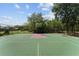Outdoor basketball court with green surface and red zones is surrounded by trees and has black chain link fencing at 10835 Se Highway 464C, Ocklawaha, FL 32179