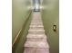 View of carpeted staircase with wooden railing going to the upper floor with green walls at 5917 Ne 61St Avenue Rd, Silver Springs, FL 34488