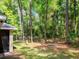 The edge of the yard bordering dense trees and forest at 7695 Sw 188Th Ave, Dunnellon, FL 34432