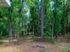 Heavily treed backyard of the home at 7695 Sw 188Th Ave, Dunnellon, FL 34432