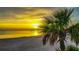 Beautiful beach view at sunset with a radiant golden sky and a palm tree in the foreground at 7695 Sw 188Th Ave, Dunnellon, FL 34432