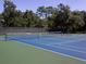 Well-maintained community tennis court surrounded by trees, ready for a friendly match at 7695 Sw 188Th Ave, Dunnellon, FL 34432