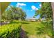 Expansive green backyard with well-maintained lawn and mature trees at 8566 Sw 83Rd Loop, Ocala, FL 34481
